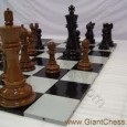 Chess is one of those activities that many of us played or at least tried to play when younger but then eventually abandoned for more...